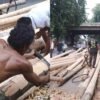 Pesanan Batang Pinang Belum Ramai, Pengusaha Medan Masih Tunggu Lonjakan Jelang 17 Agustus